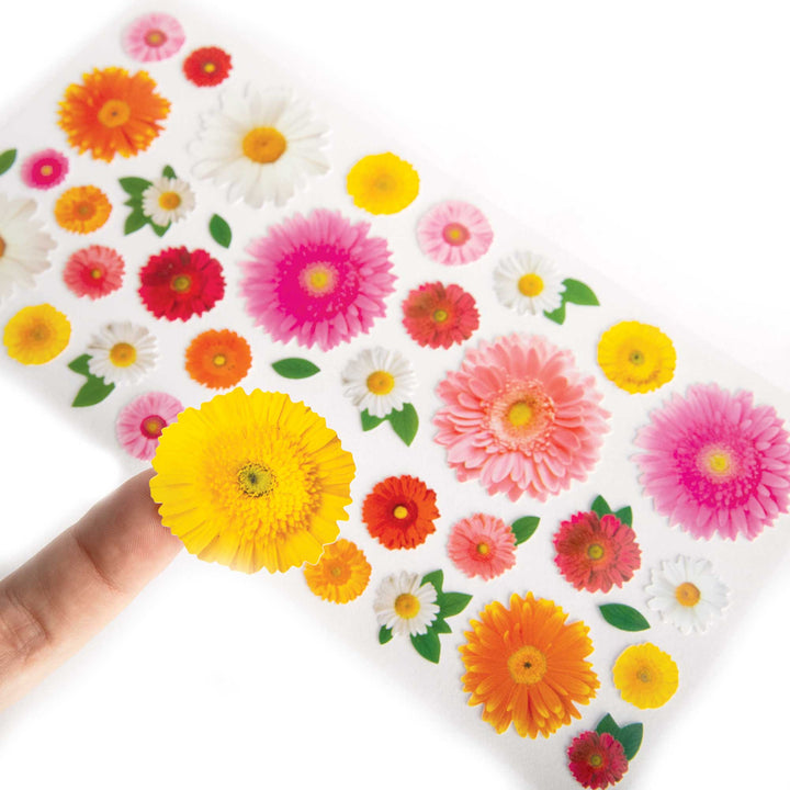Stickers - Gerbera Daisies