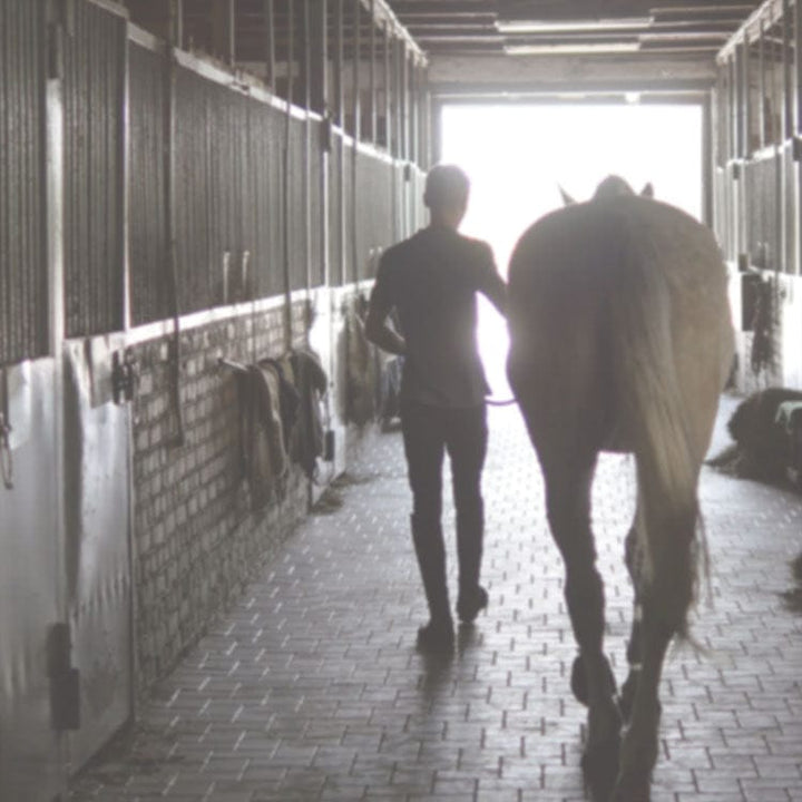 scrapbook paper featuring a black and white photographic image of a person leading a horse out of the stable.