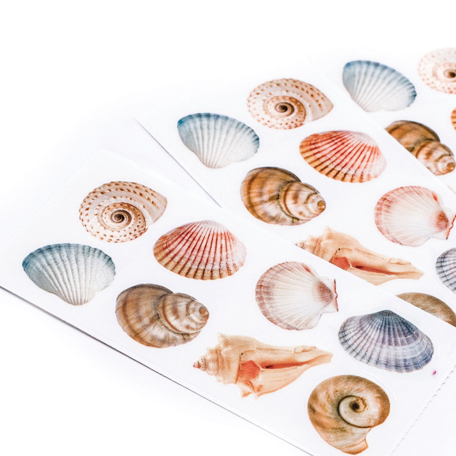 ST-2295E - Decorative Stickers - Seashells - Assorted watercolor seashell stickers in blue, coral, and tan tones arranged on white paper