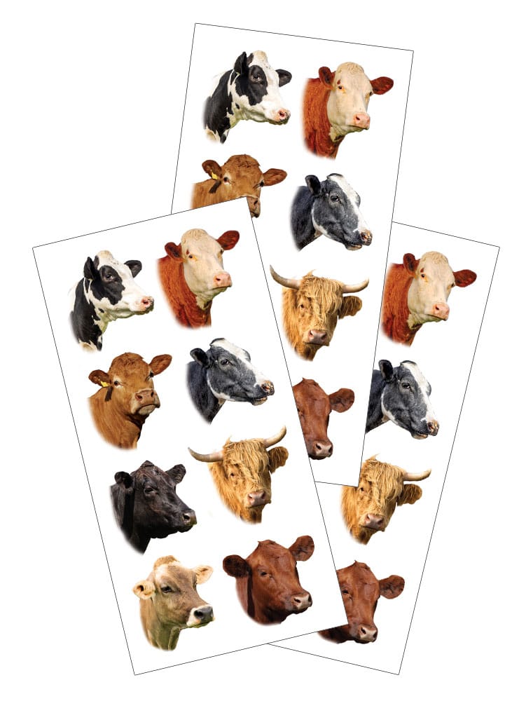 ST-2442E - Decorative Stickers - Cows - Three sheets of decorative cow stickers in various breeds and colors including black-and-white, brown, tan, and gray varieties