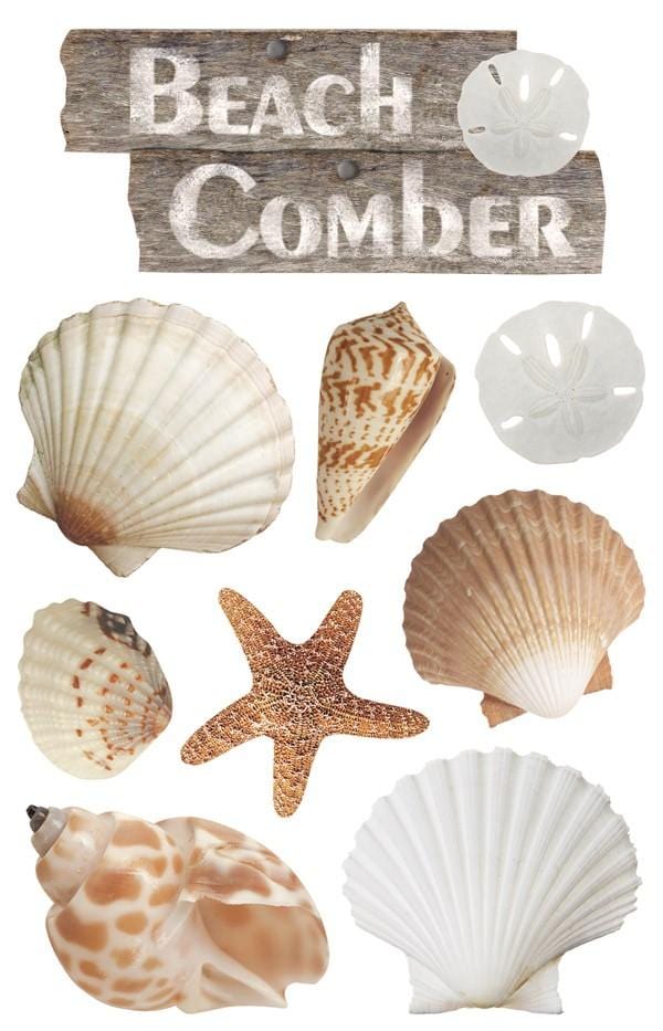 3D scrapbook stickers featuring photographic beach shells