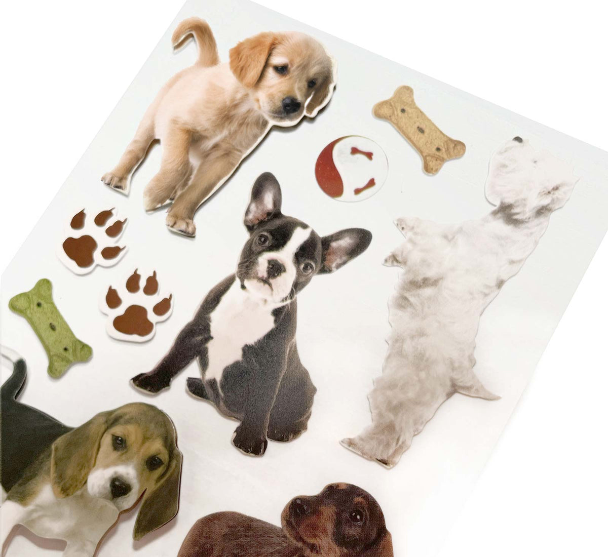 close up of scrapbook stickers featuring photo real puppies.